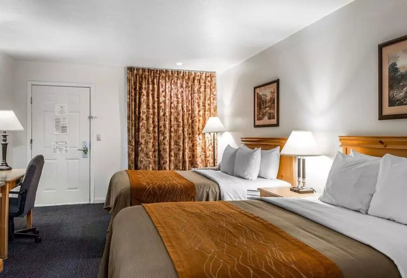 Отель Comfort Inn & Suites Sequoia Kings Canyon