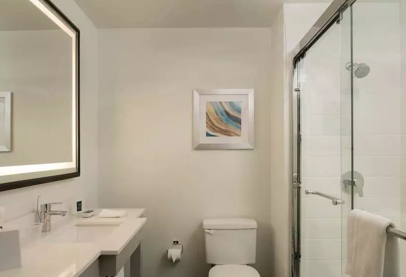 ホテル Four Points By Sheraton Dallas Arlington Entertainment District