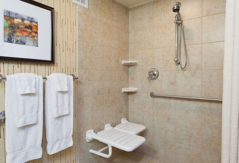 Hotel Holiday Inn Cincinnati Airport, An Ihg