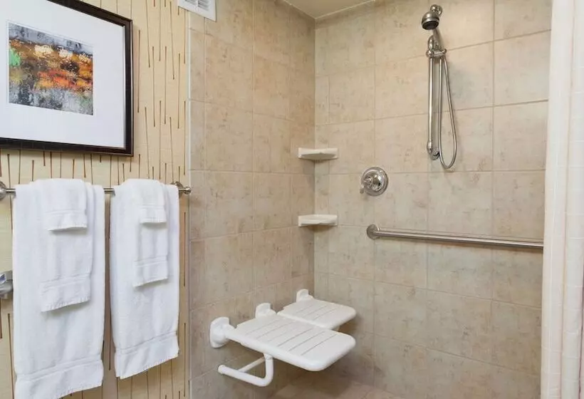 ホテル Holiday Inn Cincinnati Airport, An Ihg