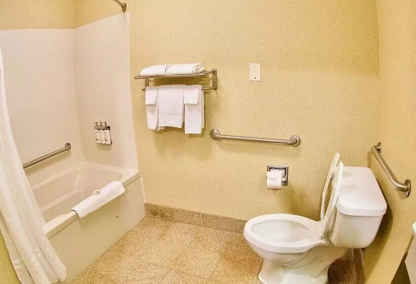 Holiday Inn Express Hotel & Suites Fenton/i 44, An Ihg