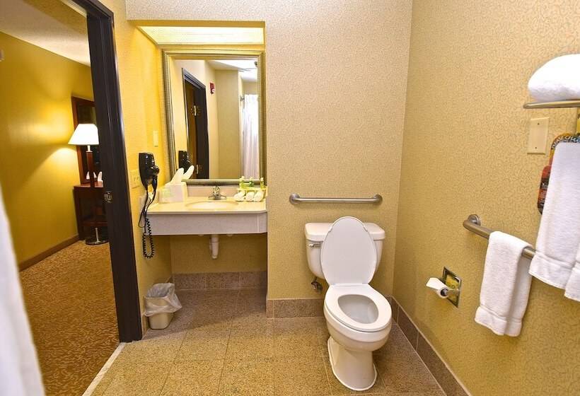 Holiday Inn Express Hotel & Suites Fenton/i 44, An Ihg