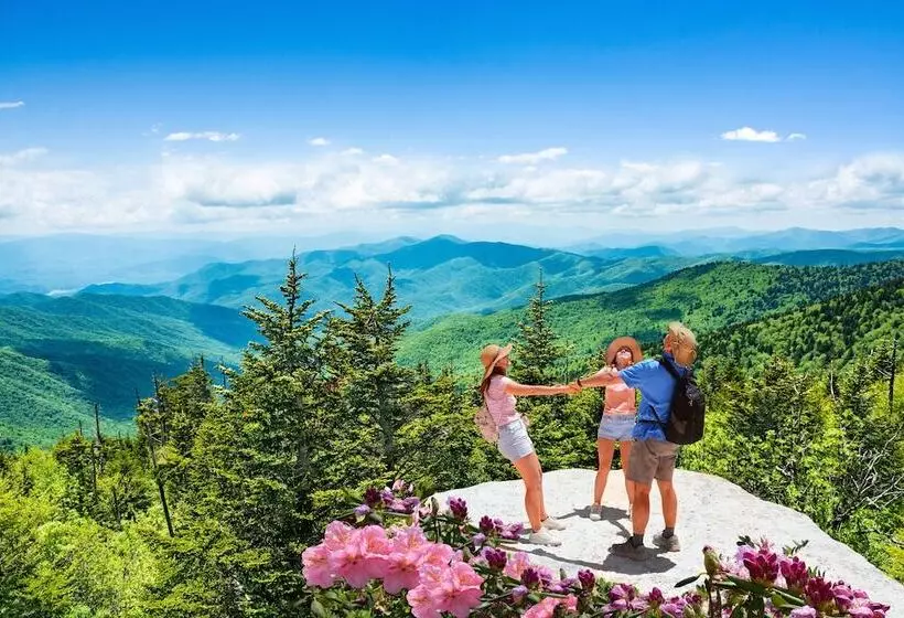 ホテル Holiday Inn Express & Suites Asheville Sw Outlet Ctr Area, An Ihg