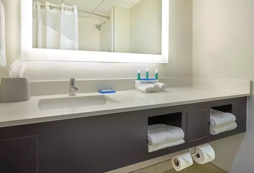 ホテル Holiday Inn Express & Suites Asheville Sw Outlet Ctr Area, An Ihg