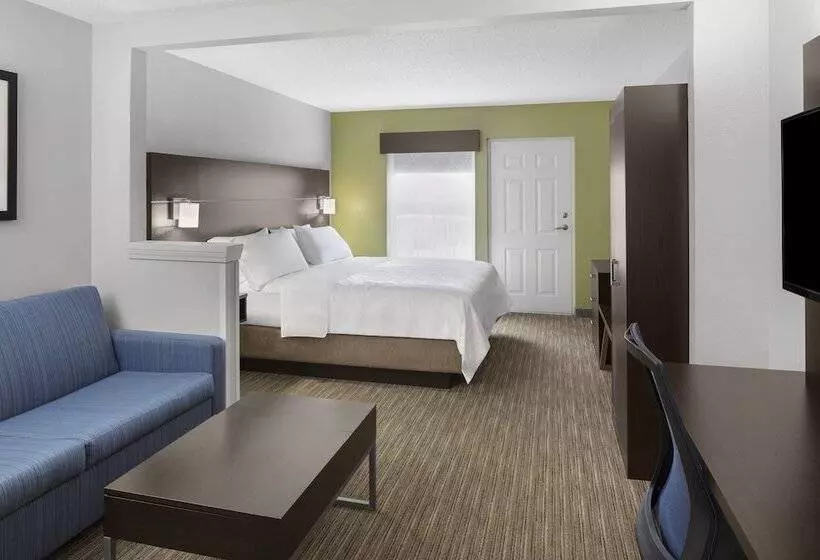 ホテル Holiday Inn Express & Suites Asheville Sw Outlet Ctr Area, An Ihg
