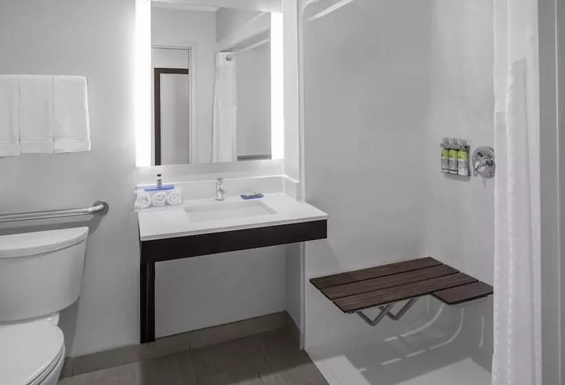 ホテル Holiday Inn Express & Suites Asheville Sw Outlet Ctr Area, An Ihg