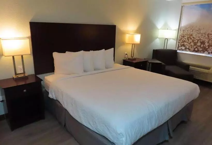 בית מלון כפרי Best Western Childress West