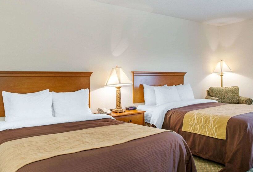 酒店 Quality Inn & Suites Near Amish Country
