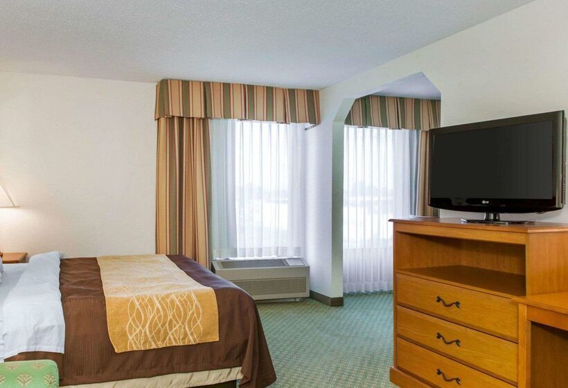 酒店 Quality Inn & Suites Near Amish Country