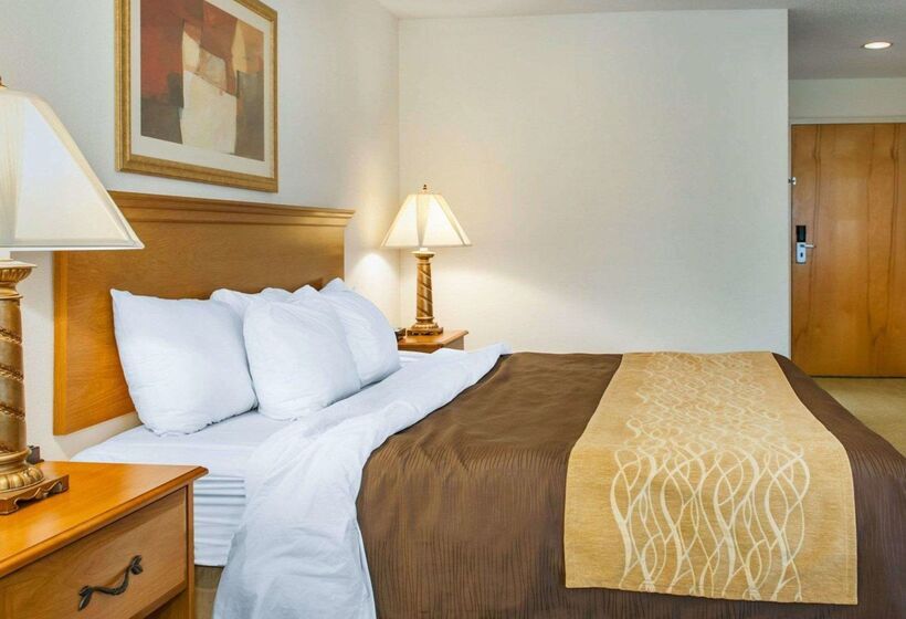 酒店 Quality Inn & Suites Near Amish Country
