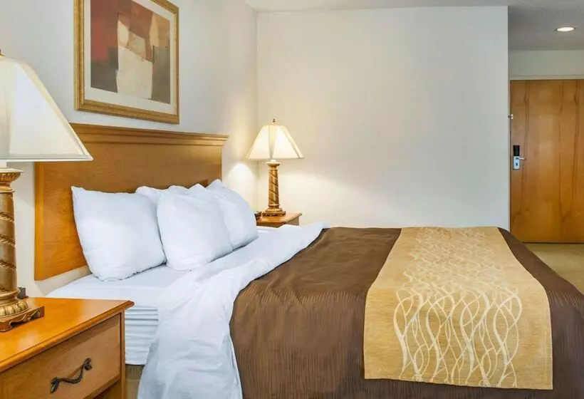 فندق Quality Inn & Suites Near Amish Country