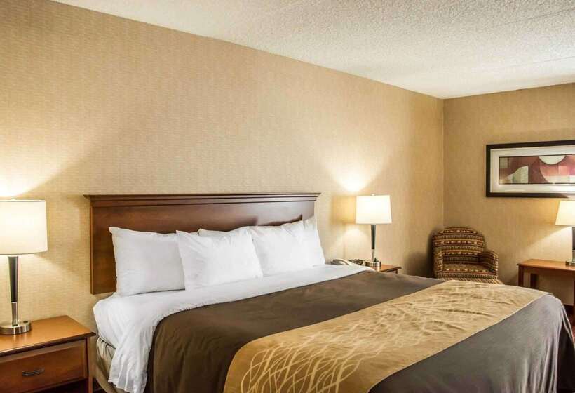 酒店 Quality Inn Springboro West