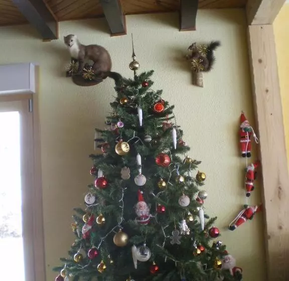 Aamiaismajoitus (B&B) Le Clos Des Aulnes