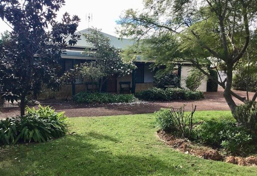 Discover The Charm Of Hakea Haven