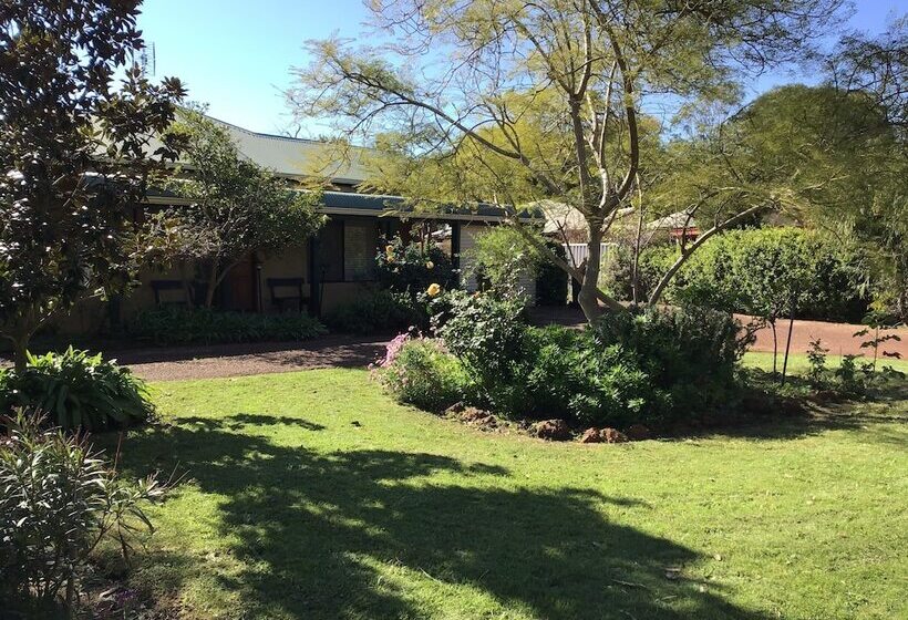 Discover The Charm Of Hakea Haven