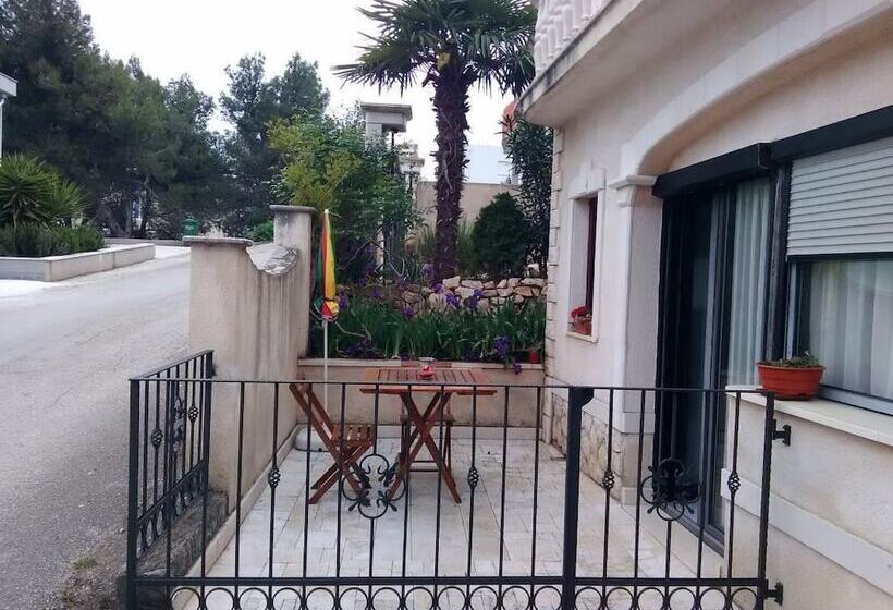 Huge Terrace With Sea View Of The Bay