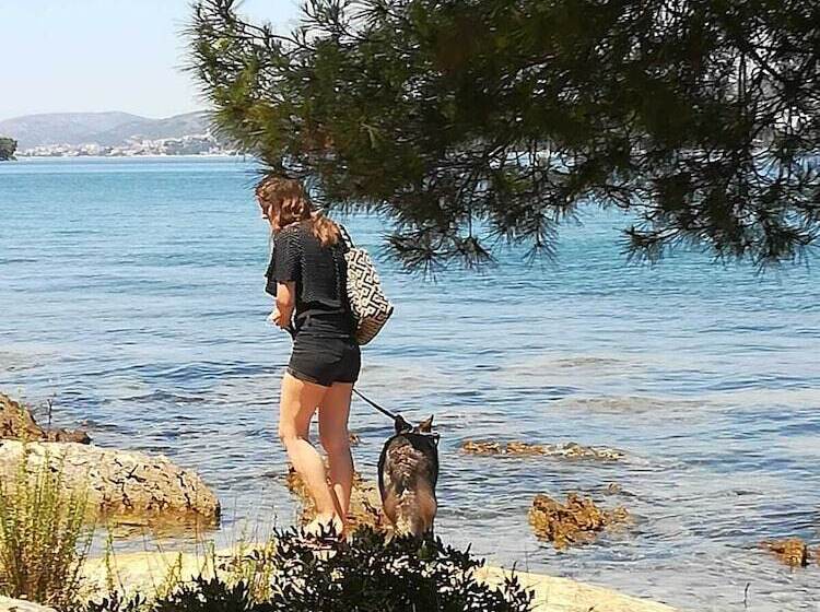 Huge Terrace With Sea View Of The Bay