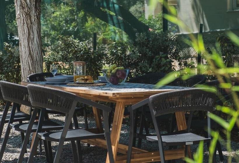 Mid Century Modern Villa Vintage Charm