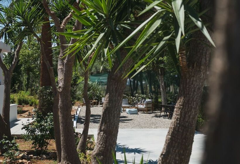 Mid Century Modern Villa Vintage Charm