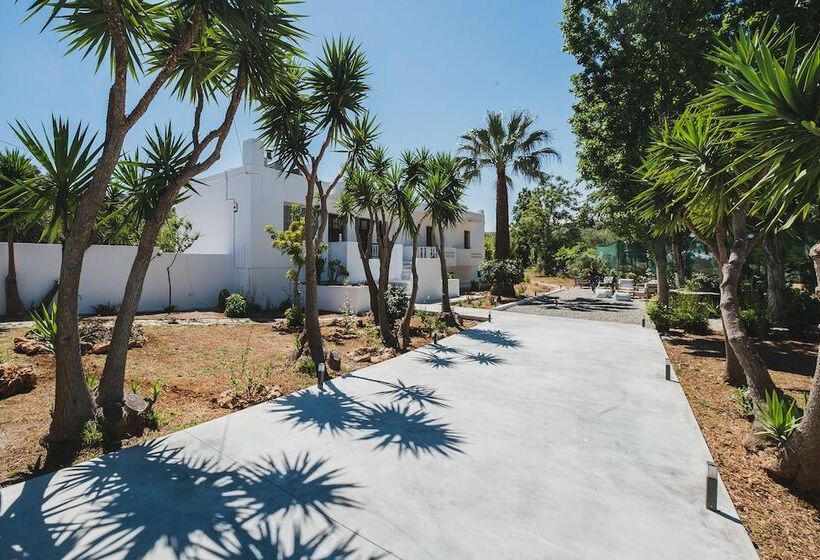 Mid Century Modern Villa Vintage Charm