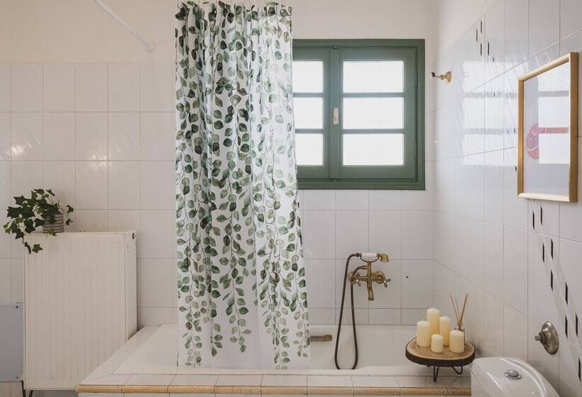 Mid Century Modern Villa Vintage Charm