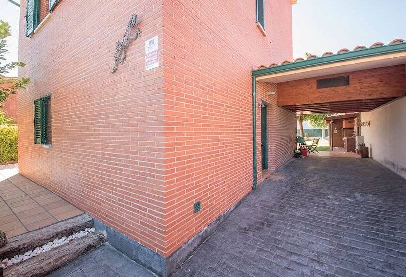 Modern House For Families