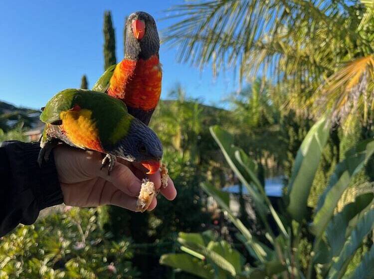 Shoal Bay Riggers 7 Rigney St, Shoal Bay