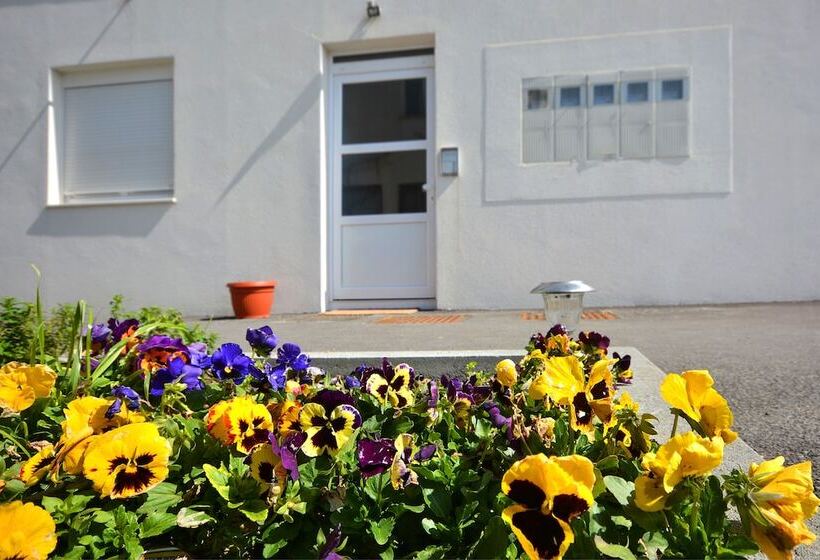 Luxury Apartment Mio