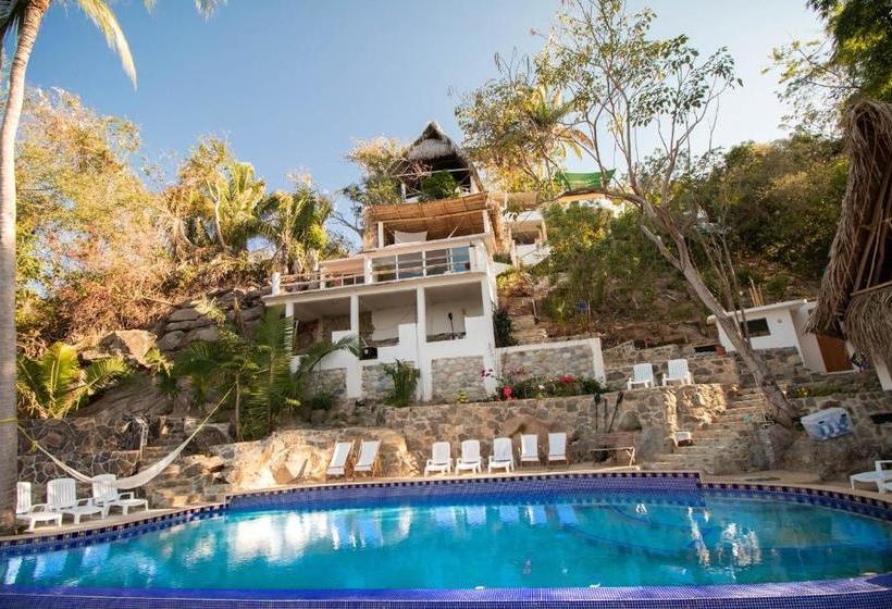 Отель Pura Vida Wellness Retreat