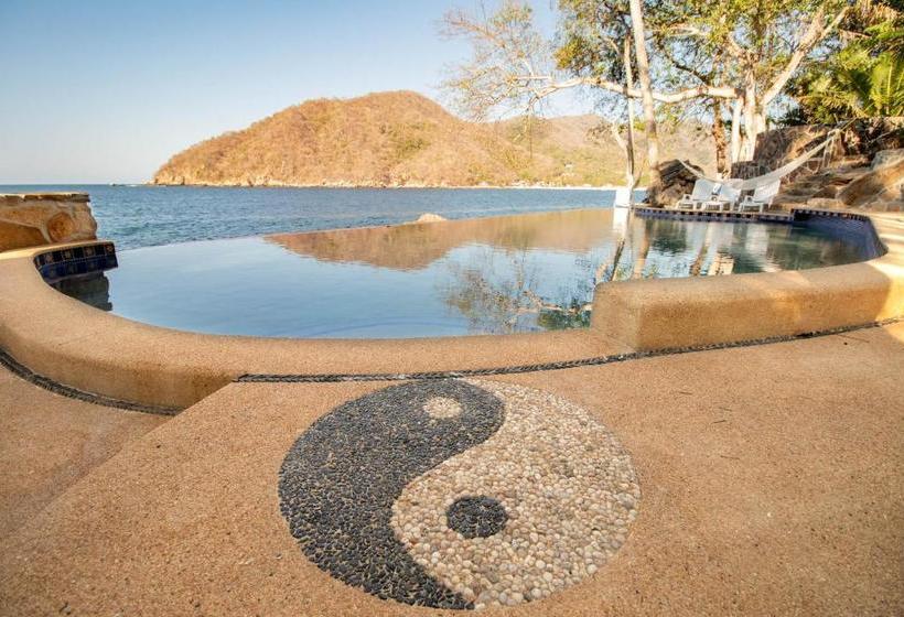 Отель Pura Vida Wellness Retreat