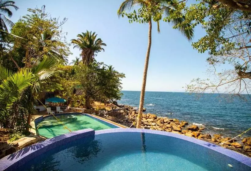 ホテル Pura Vida Wellness Retreat