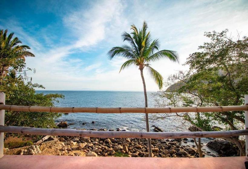 Отель Pura Vida Wellness Retreat