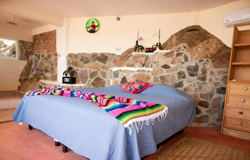 ホテル Pura Vida Wellness Retreat
