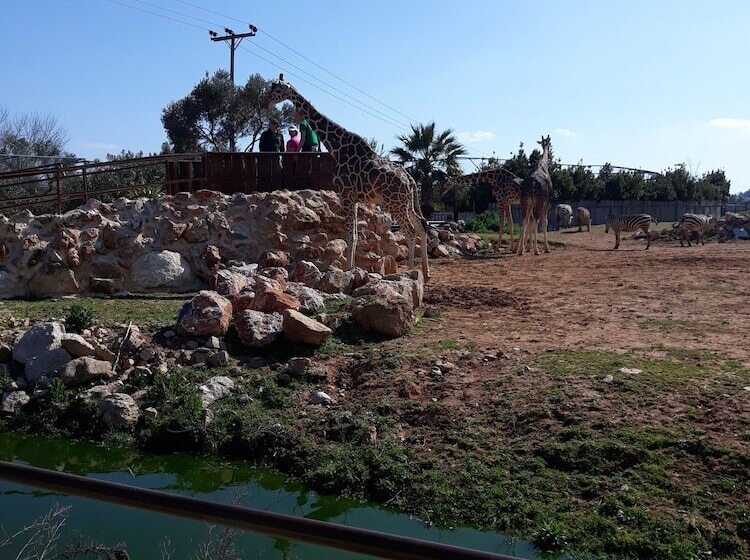 Private House Near Port Of Piraeus