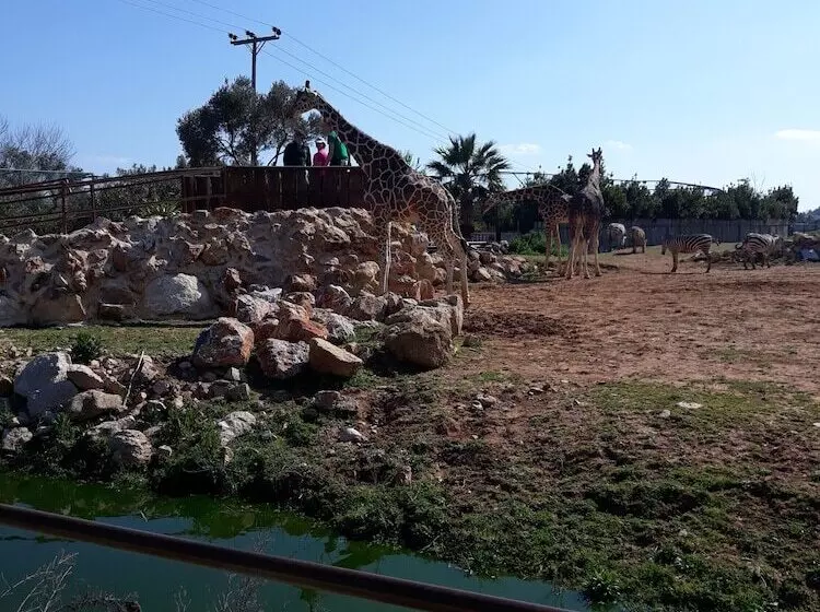 Private House Near Port Of Piraeus