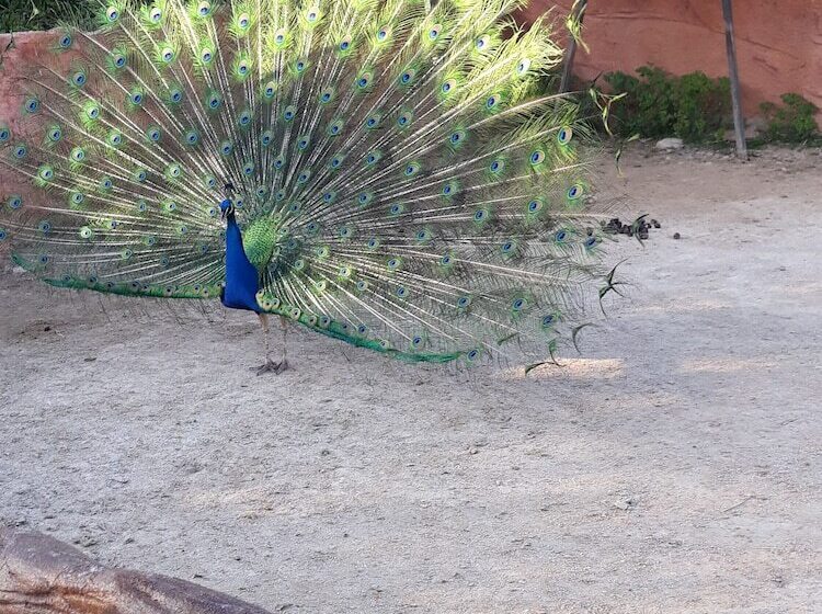 Private House Near Port Of Piraeus
