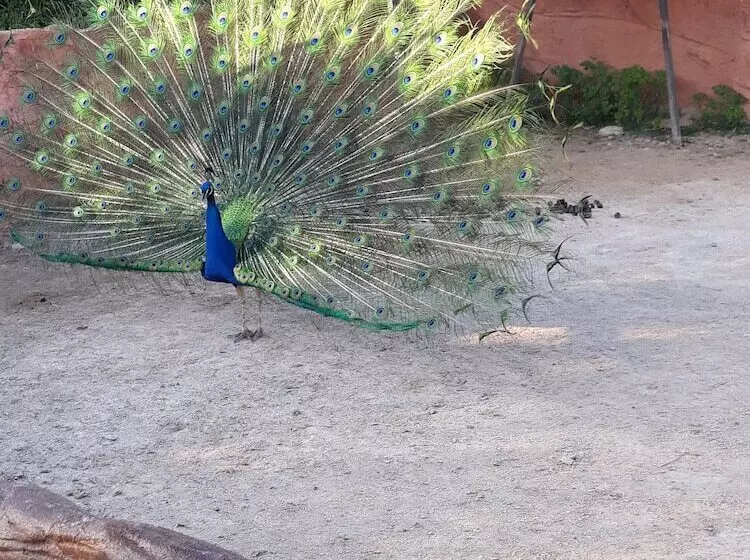 Private House Near Port Of Piraeus