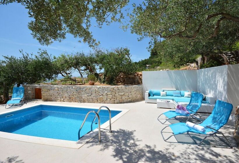 Villa Olive Tree