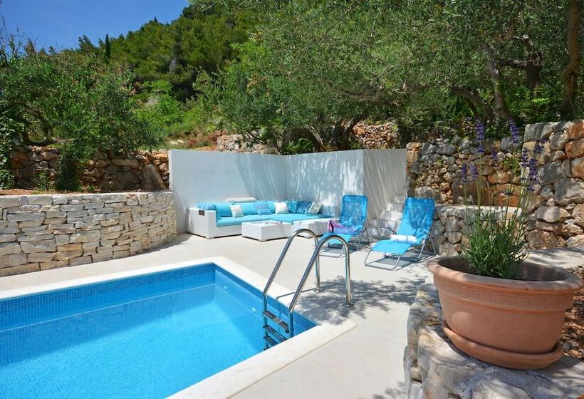 Villa Olive Tree