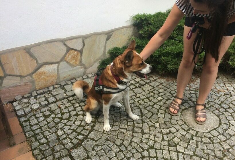 Ferienhaus Hagenwinkel