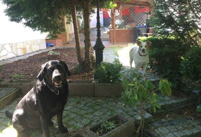 Ferienhaus Hagenwinkel