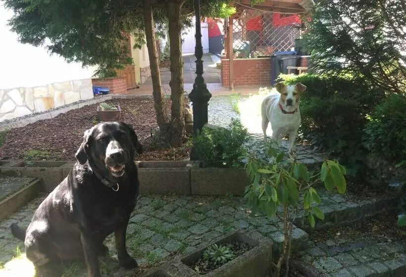 Ferienhaus Hagenwinkel