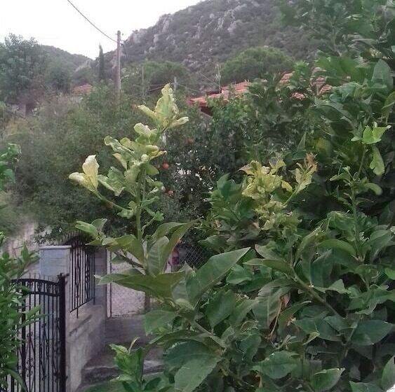 Maisonette Maria   For Tranquility. Sykia Chalkidikis