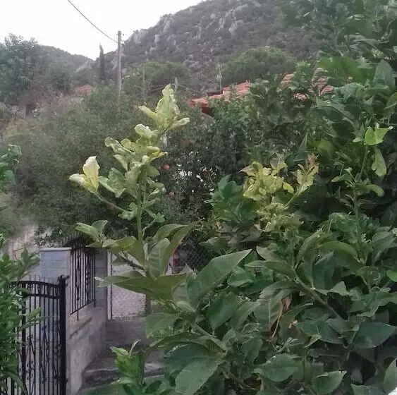 Maisonette Maria   For Tranquility. Sykia Chalkidikis