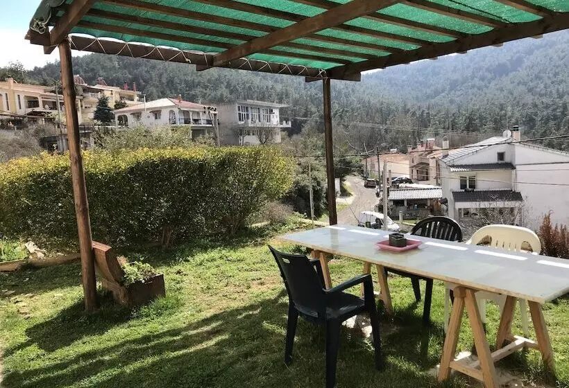 Mountain View Apartment