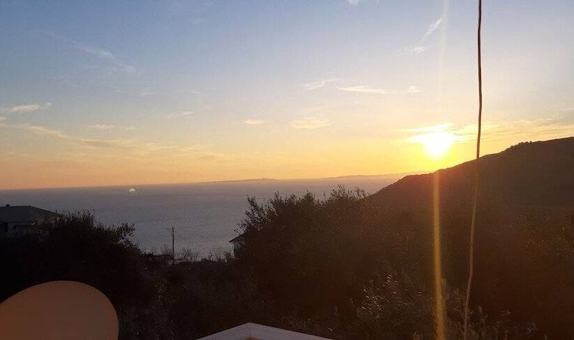 Olive Tree Apartments