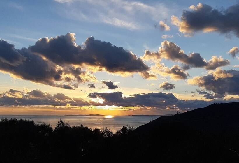 Olive Tree Apartments