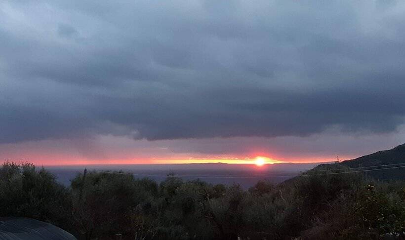 Olive Tree Apartments