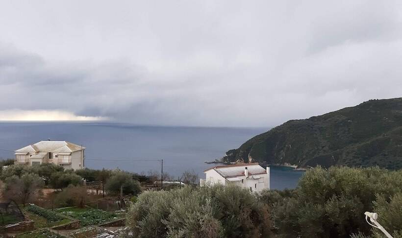 Olive Tree Apartments