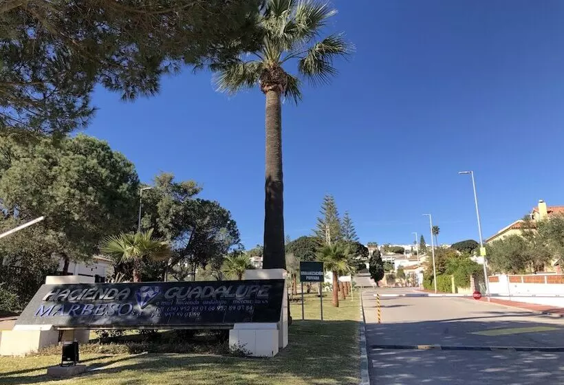 Seashape Apartment